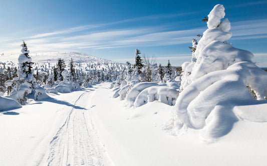 Tylus prabangos šnabždesys