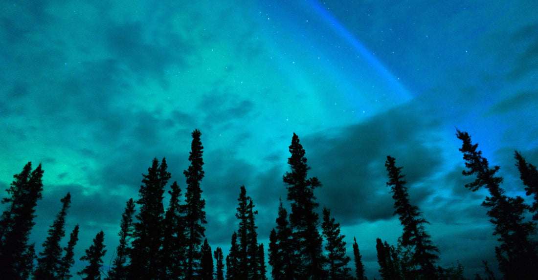 Kuo išskirtinė šiaurietiška grožio filosofija?